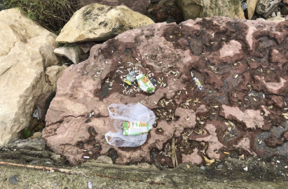 BU GÖRÜNTÜLER FATSA’YA YAKIŞMIYOR