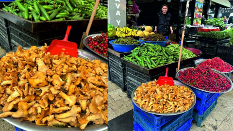 YAĞMURLU HAVA KİRMİTE YARADI