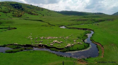 YAZ AYININ GELMESİYLE YAYLALARA İLGİ ARTIYOR