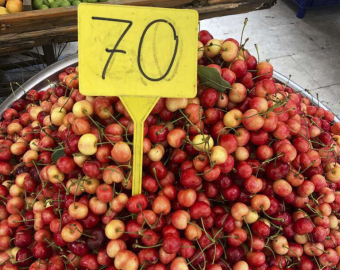 BU YIL KİRAZA DOYAMADIK