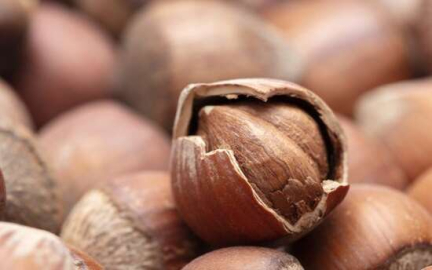 DOLARIN ATEŞİ FINDIĞA YARADI