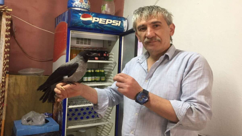 İyileştirdiği Karga İşine Ortak Oldu