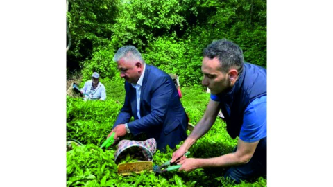 BAŞKAN SOYDAN ÇAY HASADINA KATILDI
