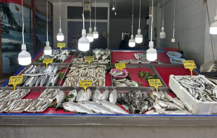 FATSA’LI BALIKÇILARDAN EVDE KOKUSUZ BALIK TARİFİ