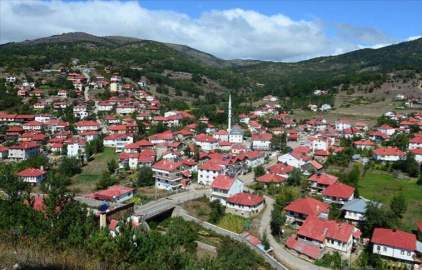 DÜNYA DEMOKRASİ FORUMU MESUDİYE’DE YAPILACAK