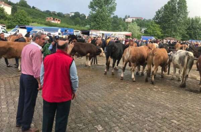 KURBAN PAZARINDA PAZARLIKLAR KIZIŞTI