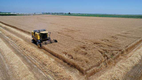 124 milyon liralık destekleme ödemesi yapılacak