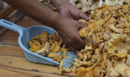 BU HAFTA PAZAR YERİNİN ZAM ŞAMPİYONU ‘MANTAR’