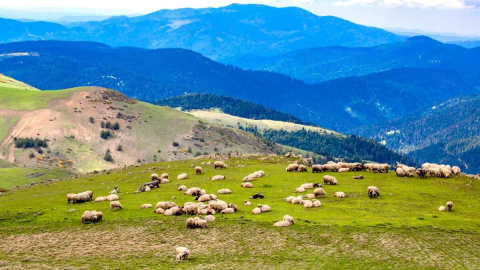 ORDU'NUN BİLMEDİĞİNİZ SAKLI CENNETLERİ