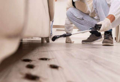 Böceklerden kurtulayım derken kanser olmayın!