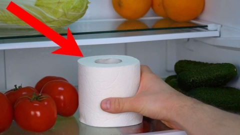 BUZDOLABINA BİR RULO TUVALET KAĞIDI KOYUN