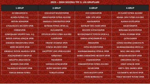 Fatsa Belediyespor 3. Grup'ta