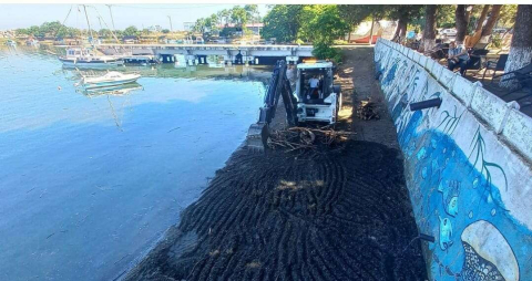 Yalıköy'deki gargalaklar temizleniyor