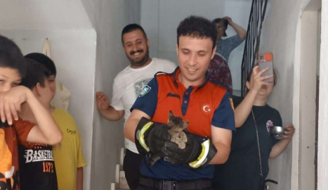 ÜNYE’DE KEDİ VE BAYKUŞ KURTARMA OPERASYONU