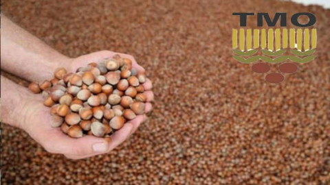 TMO’DAN UMUTLANDIRAN AÇIKLAMA