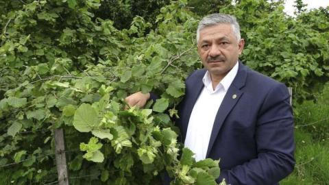 FINDIKTA 'ERKEN HASAT' UYARISI