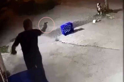 Tartıştığı kişinin köpeğini öldürdü
