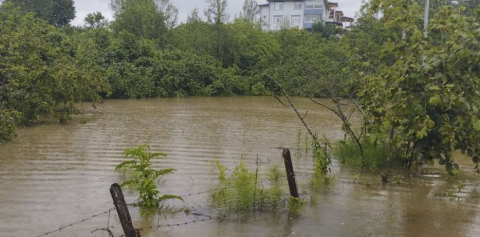 Fındık bahçeleri sular altında