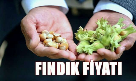 FINDIK ÇAKILDI KALDI