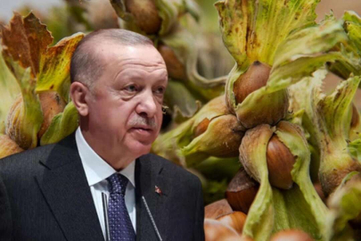 FINDIK FİYATLARI AÇIKLANIYOR