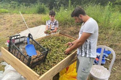 AH GARİBİM SEN PAZARA MI İNDİN!