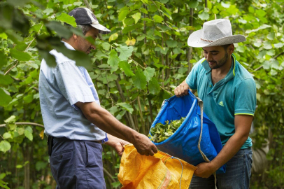 PROJEYE REKOR BAŞVURU