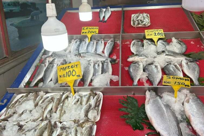 TERMOMETRELER TAVAN YAPSA DA BALIK TEZGAHLARI BOŞ KALMIYOR