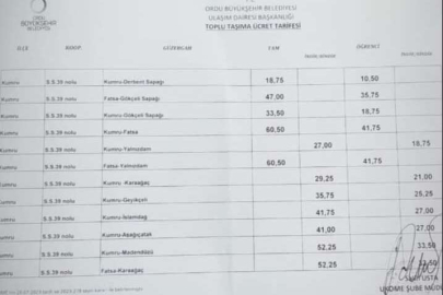 FATSA/KUMRU 60 TL OLDU