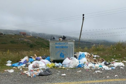 GÖRÜNTÜLER YAYLAYA YAKIŞMADI!