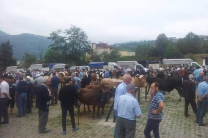 HAYVAN PAZARI KAPATILDI