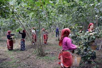 "FINDIĞIN KARŞILIĞINI VERİN"
