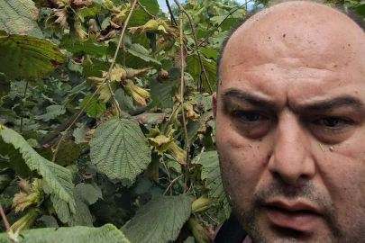 BAHÇE BAKIMININ ÖNEMİ