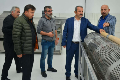 İŞLEME TESİSİ FINDIK PAZARINA DEĞER KATACAK