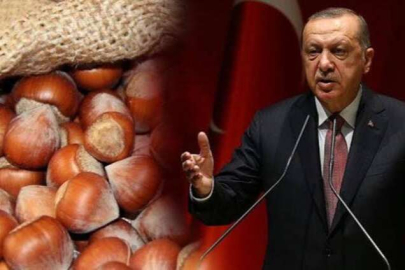 FINDIKTA SÖZ CUMHURBAŞKANI ERDOĞAN’DA