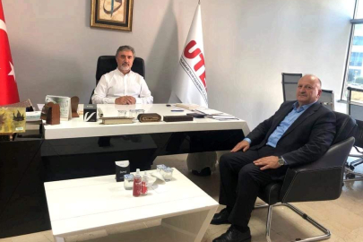 TAVLI VE HAMARAT ÜNYE'Yİ KONUŞTULAR