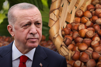 FINDIK FİYATI AÇIKLANDI
