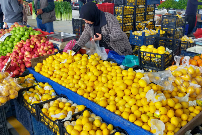 PAZARTESİ PAZARINDA FINDIK ALIŞVERİŞİ YOĞUNLUĞU
