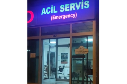 VEFALI KÖPEK SAHİBİNİ BEKLEDİ