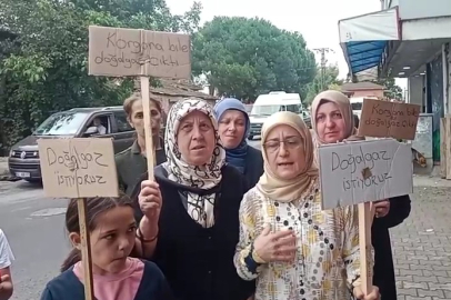 FATSA DOĞALGAZ EYLEMİ