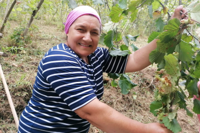 ÜRETİCİ FİYATTAN MEMNUN DEĞİL