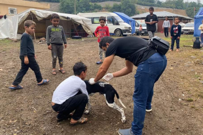 METİP ALANINDAKİ KÖPEKLERE AŞI YAPILDI