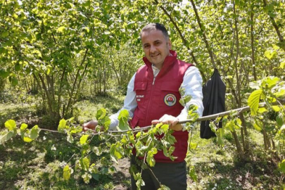 AYDIN: “FINDIK 100 TL OLMADAN PAZARA İNDİRMEYİN”