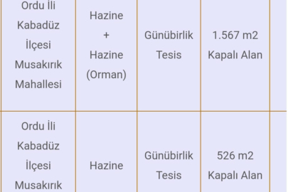ÇAMBAŞI YAYLASI'NA YENİ YATIRIMLAR GELİYOR