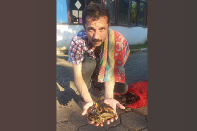 ADA MİDYESİNİN BOYU DA TADI DA BAŞKA