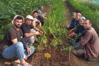 ZİRAAT ODASI, ÜRETİCİYE KOLAYLIK SAĞLIYOR