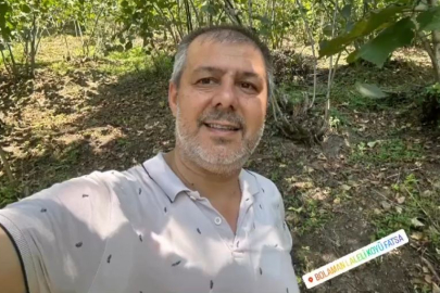 MÜDÜR ERGÜN’DE FINDIK MESAİSİNDE