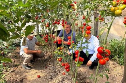 KORGANLI ÜRETİCİ EVİNİN ÖNÜNÜ SERA YAPTI