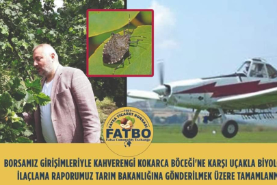 KAHVERENGİ KOKARCA İÇİN UÇAKLA İLAÇLAMA