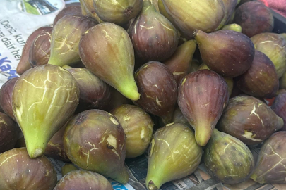 AĞUSTOS İNCİRİNE KAVUŞTUK