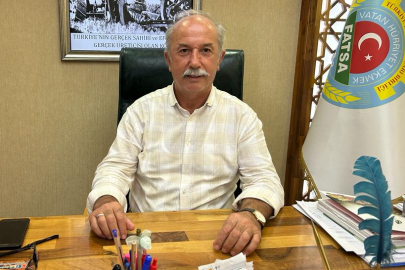 BU YIL FINDIĞI BİTİREN KAHVERENGİ KOKARCA ŞİMDİ YANDI